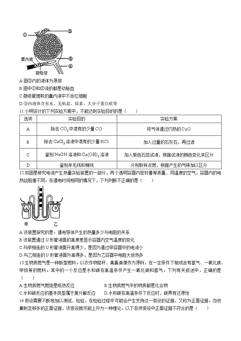 46，浙江省台州市玉环市2023-2024学年九年级上学期1月期末科学试题()第3页