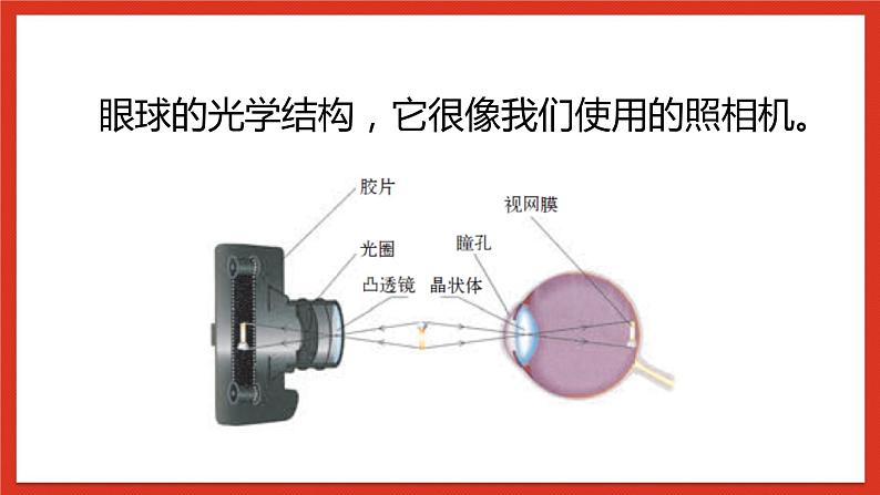 华师大版科学八年级下册2.4《眼的成像原理-视力的矫正》课件+素材05