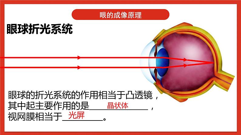 华师大版科学八年级下册2.4《眼的成像原理-视力的矫正》课件+素材07