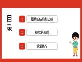 华师大版科学八年级下册3.1《眼和视觉》课件+素材