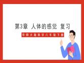 华师大版科学八年级下册第3章《人体的感觉》 复习 课件