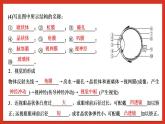 华师大版科学八年级下册第3章《人体的感觉》 复习 课件