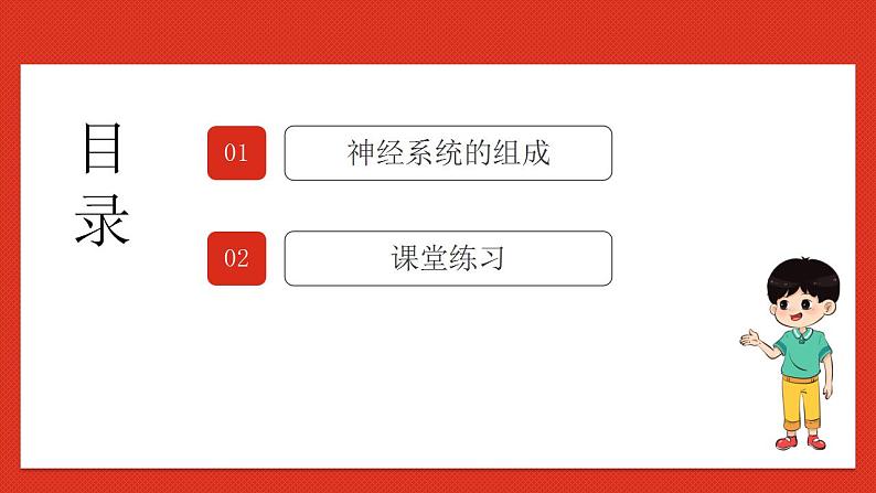 华师大版科学八年级下册7.2.1《人体生命活动的神经调节1》课件+素材02