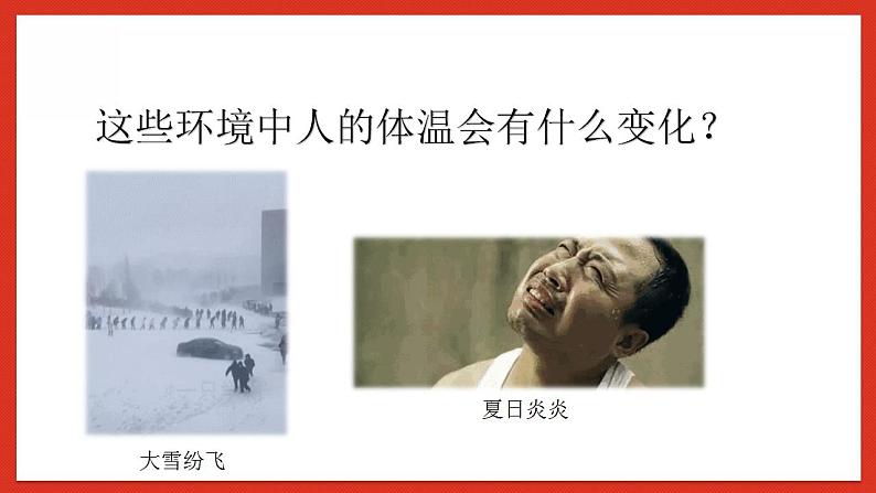 华师大版科学八年级下册7.4《人体是一个统一的整体》 课件04