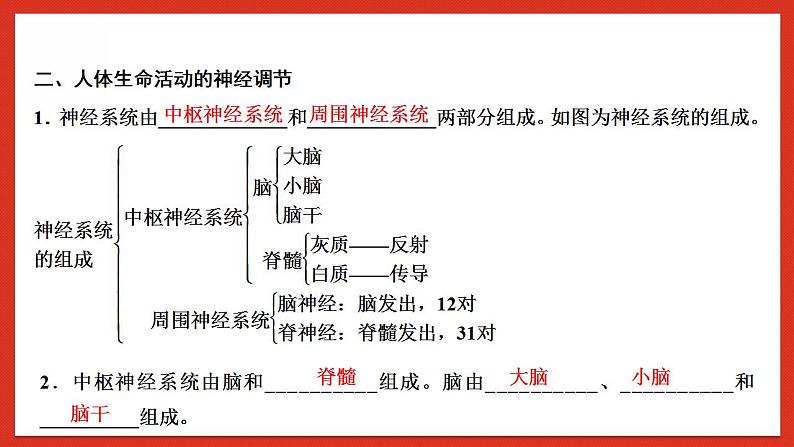 华师大版科学八年级下册第7章《生命活动的调节》 复习 课件06