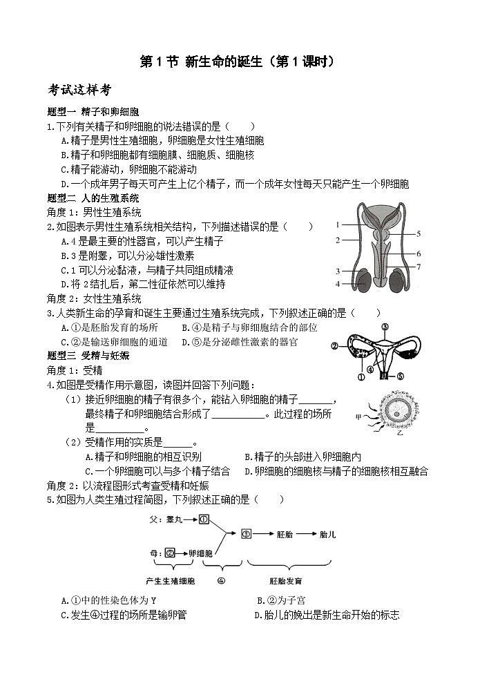 浙教版科学七年级下册1.1《新生命的诞生》第1课时 练习第1页