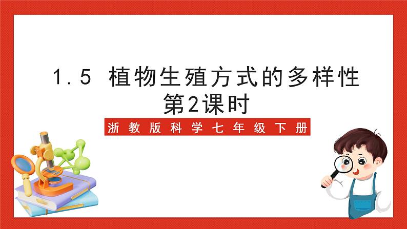 浙教版科学七年级下册1.5《植物生殖方式的多样性》第2课时 课件+练习01