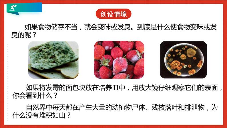 浙教版科学七年级下册1.6《细菌和真菌的繁殖》课件+练习06