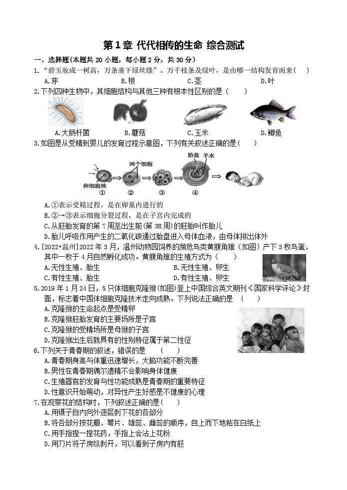 浙教版科学七年级下册1.0《代代相传的生命》综合测试 答案+答题卷01