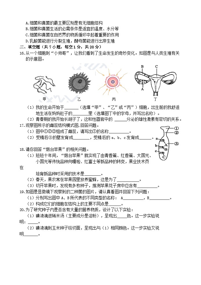 浙教版科学七年级下册1.0《代代相传的生命》综合测试 答案+答题卷03