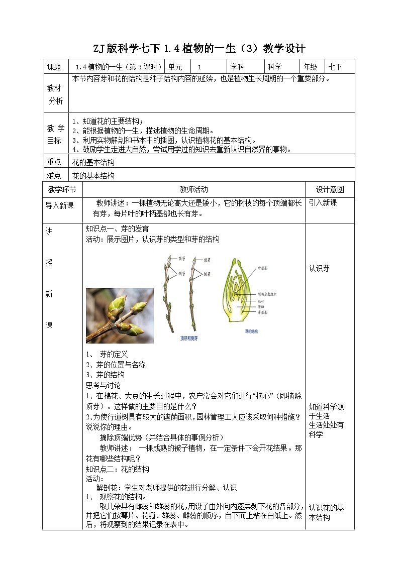 ZJ版科学七下1. 4植物的一生（3）教学设计01