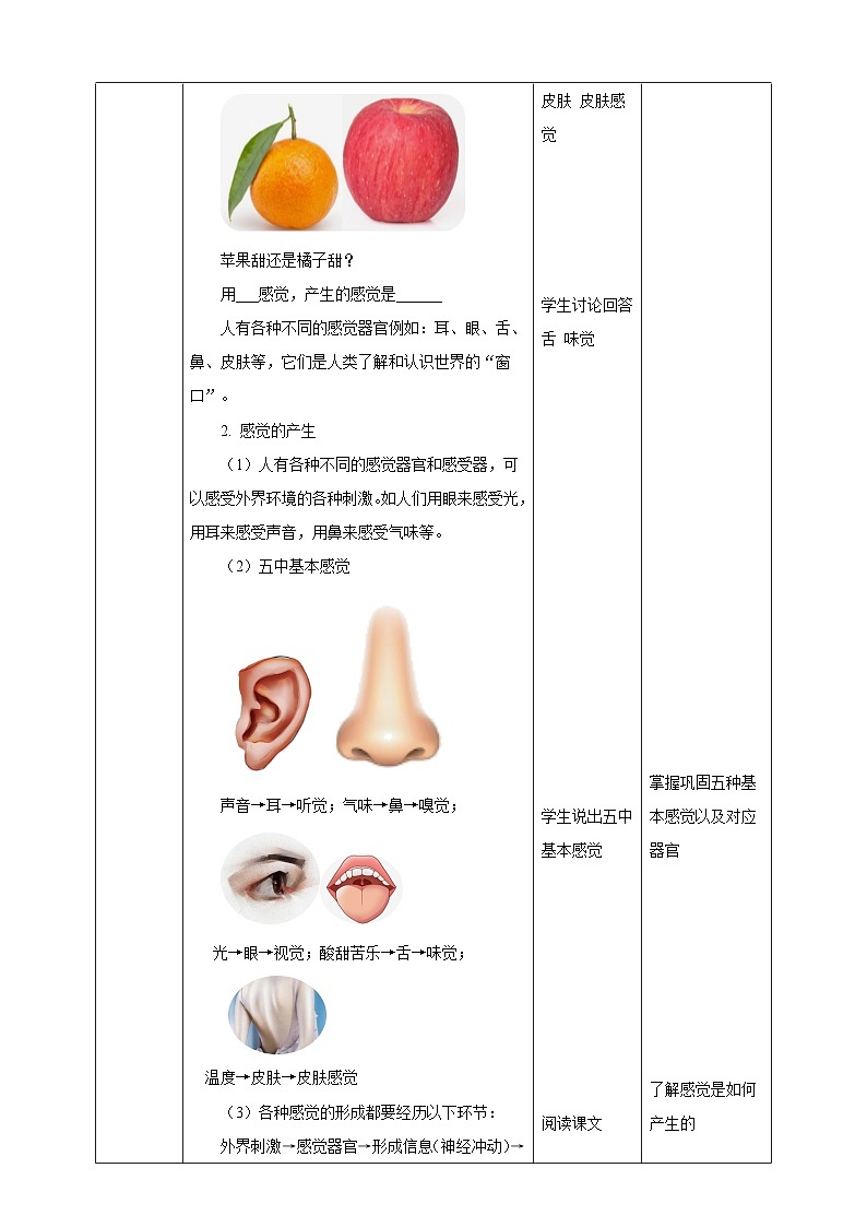 浙教版科学七下2.1感觉世界教学设计第3页