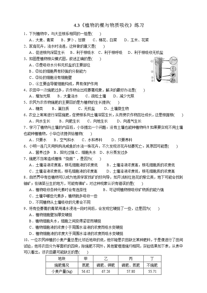 浙教版八年级下册科学4.3《植物的根与物质吸收》练习第1页