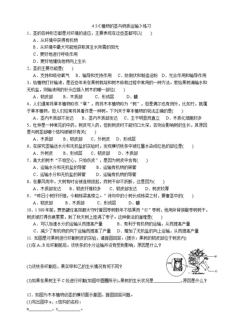 浙教版八年级下册科学4.4《植物的茎与物质运输》练习01