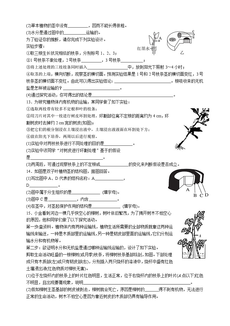 浙教版八年级下册科学4.4《植物的茎与物质运输》练习02