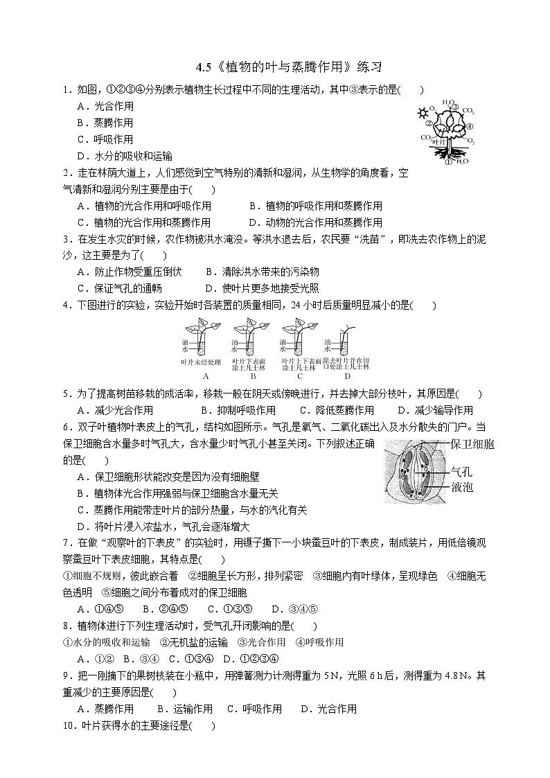 浙教版八年级下册科学4.5《植物的叶与蒸腾作用》练习第1页