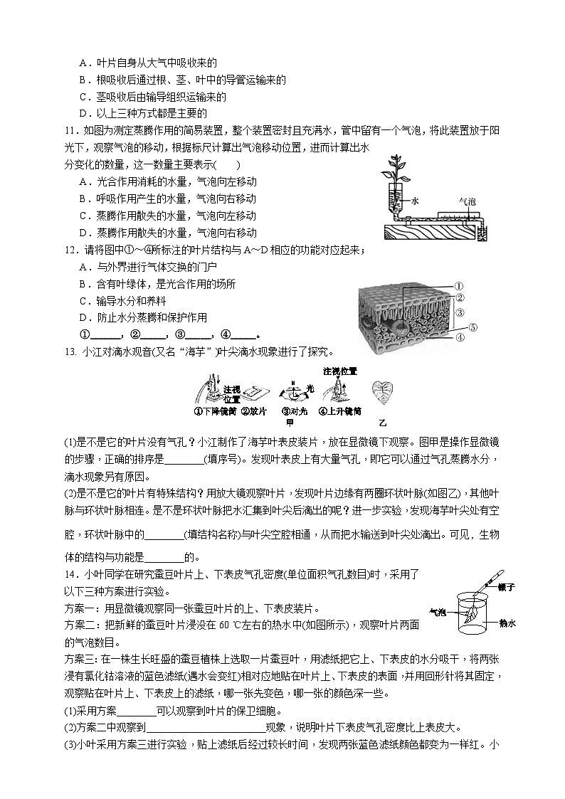 浙教版八年级下册科学4.5《植物的叶与蒸腾作用》练习第2页