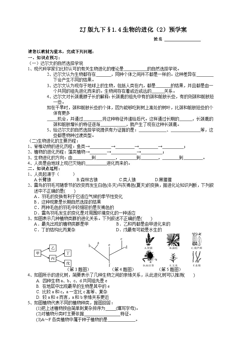 浙教版科学九年级下册1.4生物的进化（2）预学案01