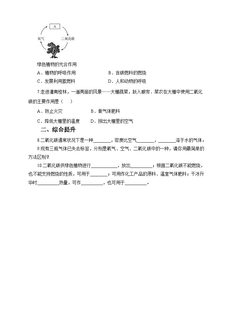新华师七年级科学下册第二章第四节二氧化碳 第一课时（练习）02