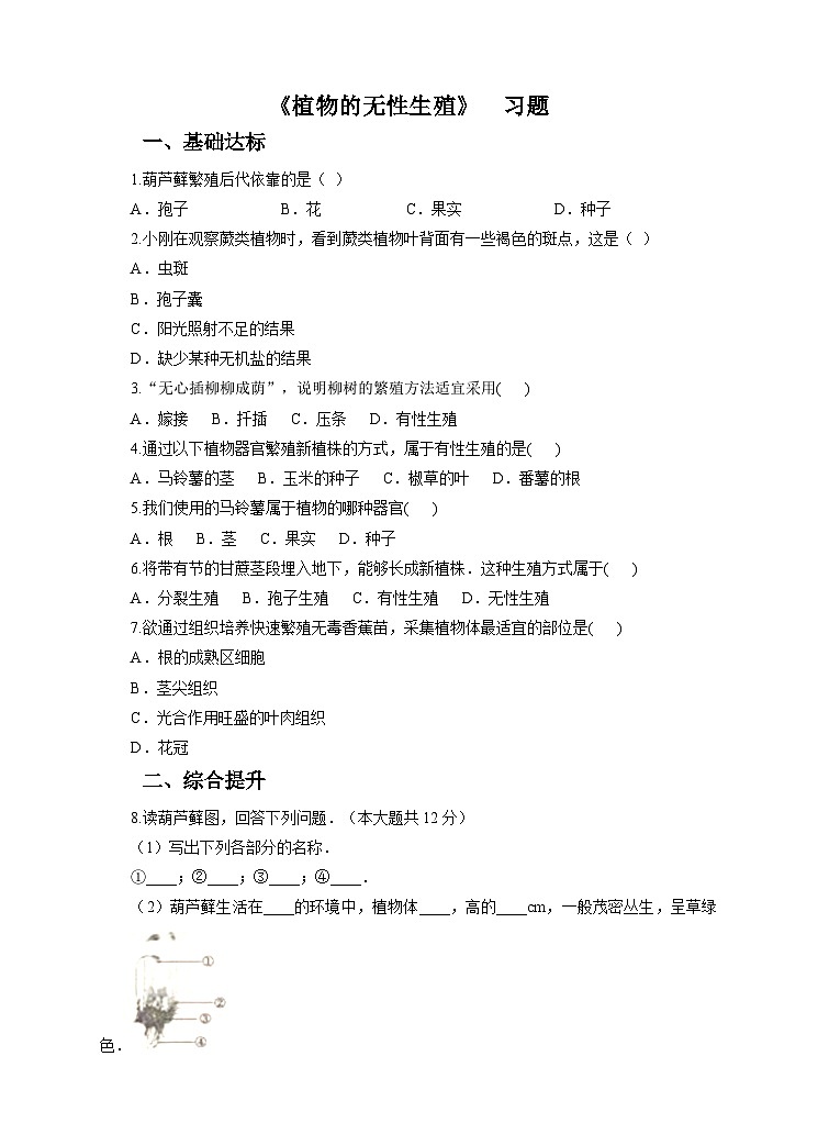 新华师七年级科学下册第七章第三节植物的无性生殖 （习题）第1页