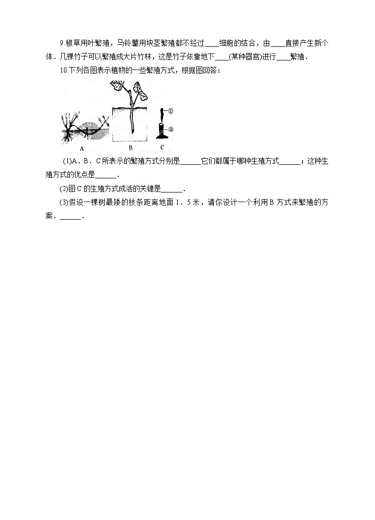 新华师七年级科学下册第七章第三节植物的无性生殖 （习题）第2页