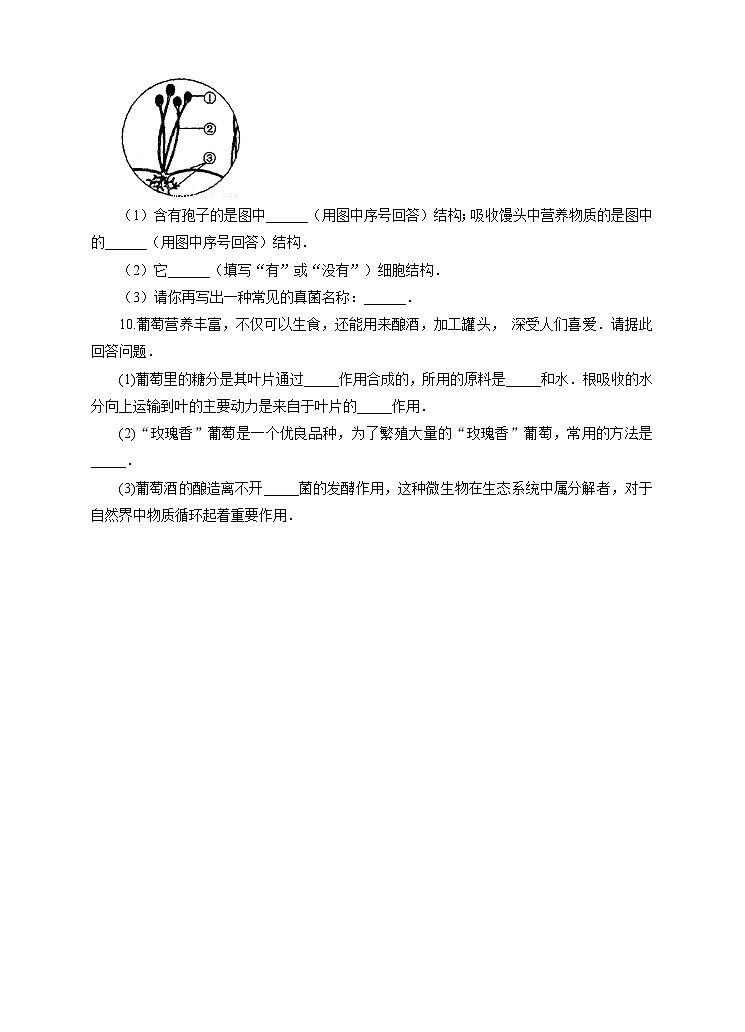 新华师七年级科学下册第七章第四节细菌和真菌的繁殖 （习题）02