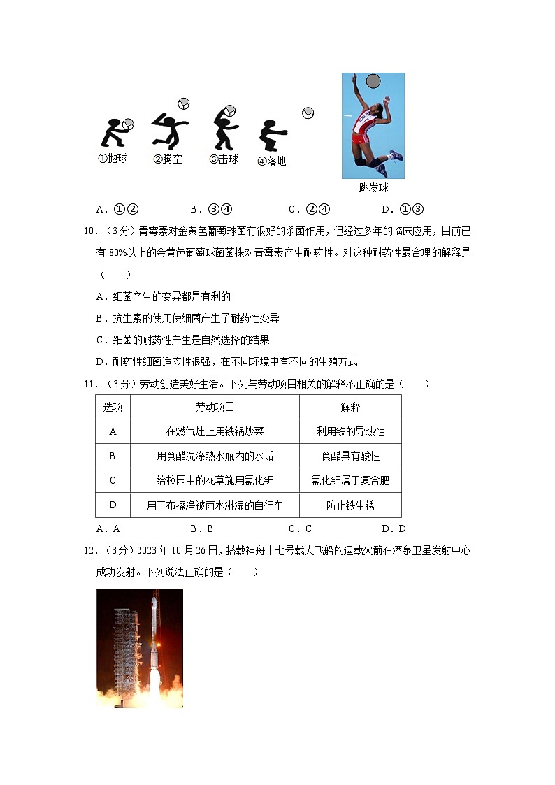 浙江省台州市黄岩区2023-2024学年九年级上学期期末科学试卷03