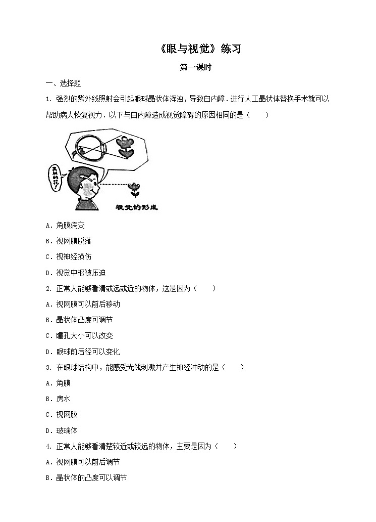 新华师八年级科学下册第一课  眼与视觉第一课时 练习01