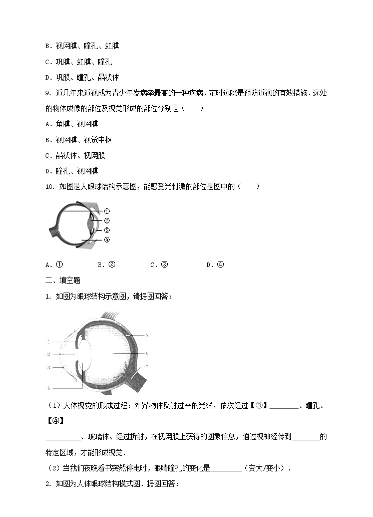 新华师八年级科学下册第一课  眼与视觉第一课时 练习03