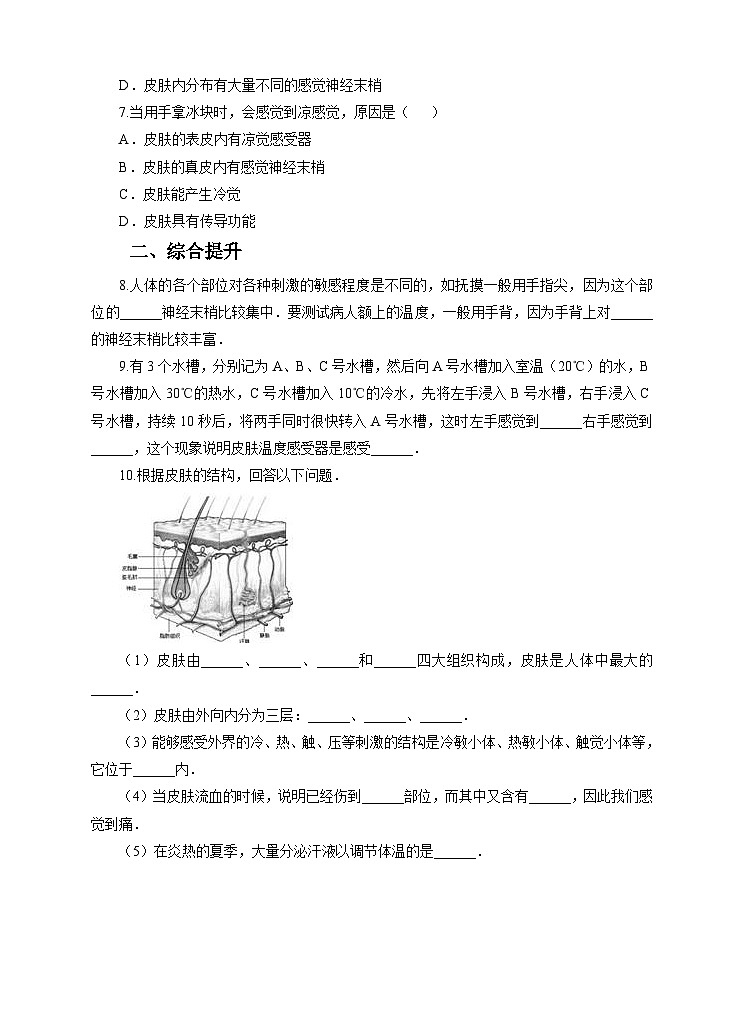 新华师八年级科学下册第3章第3节皮肤感觉（习题）02