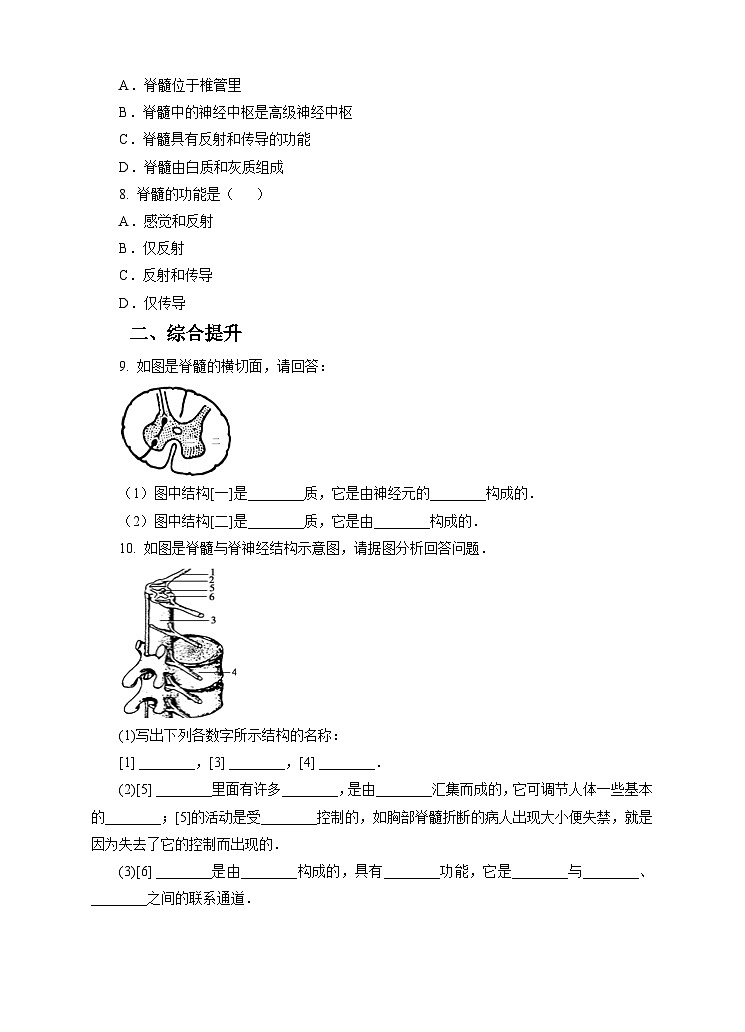 新华师八年级科学下册第7章第2节人体生命活动的神经调节 第2课时（习题）第2页