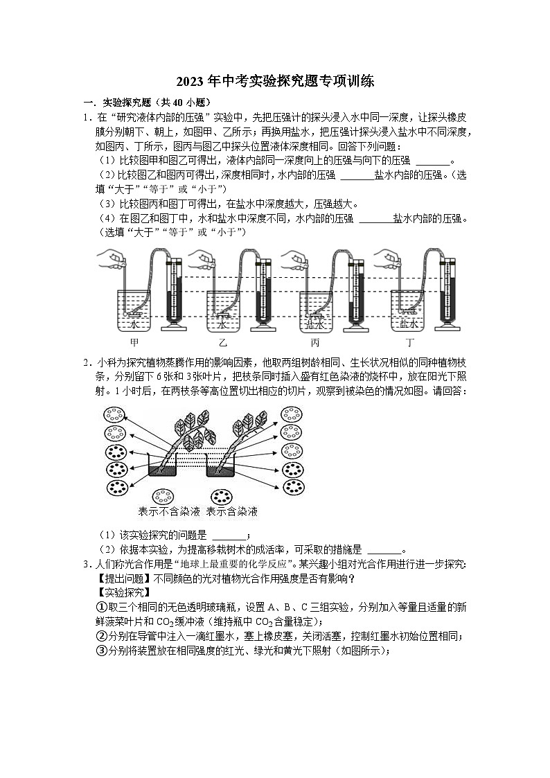 2024年浙江省中考科学实验探究题专项训练01