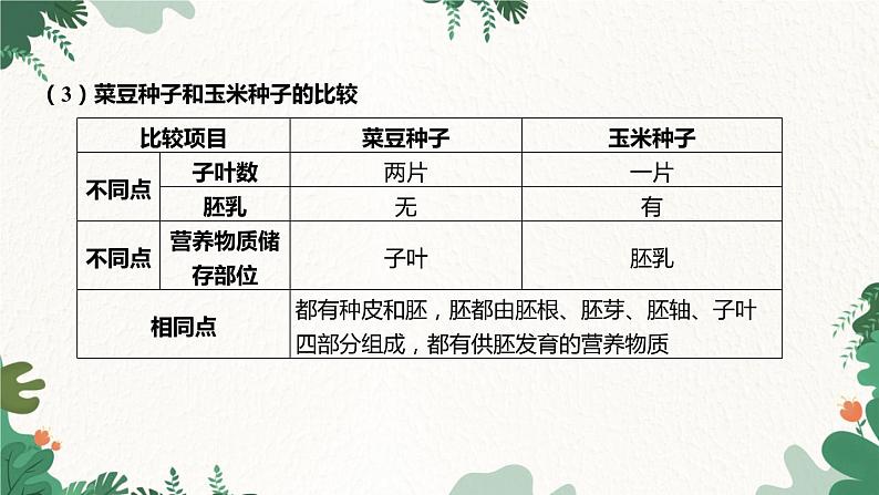 浙教版科学七年级下册 第1章第4节 植物的一生课件07