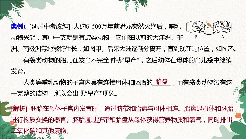 浙教版科学七年级下册 第1章中考探究课件04