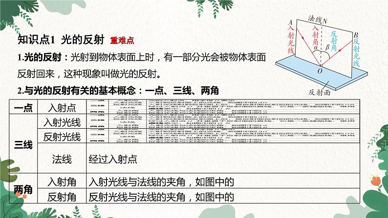 浙教版科学七年级下册 第2章第5节 光的反射和折射课件03