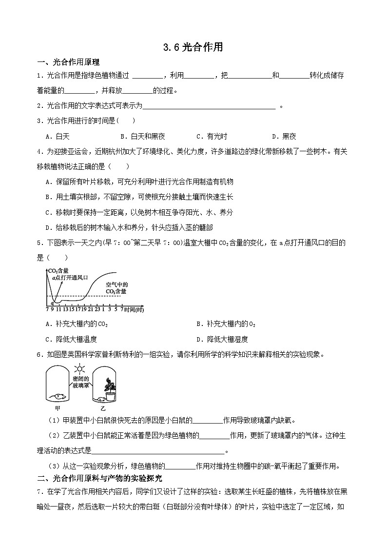 3.6光合作用-八年级科学下学期课后培优分级练（浙教版）01
