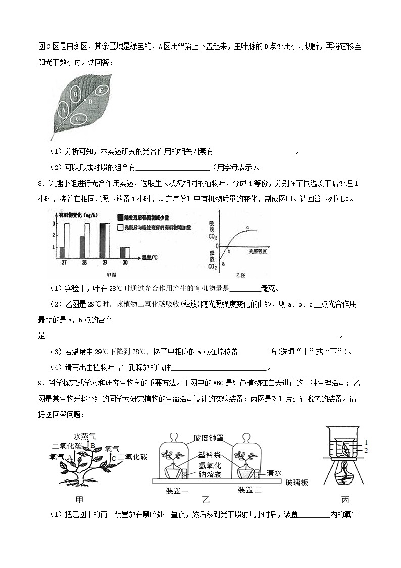 3.6光合作用-八年级科学下学期课后培优分级练（浙教版）02