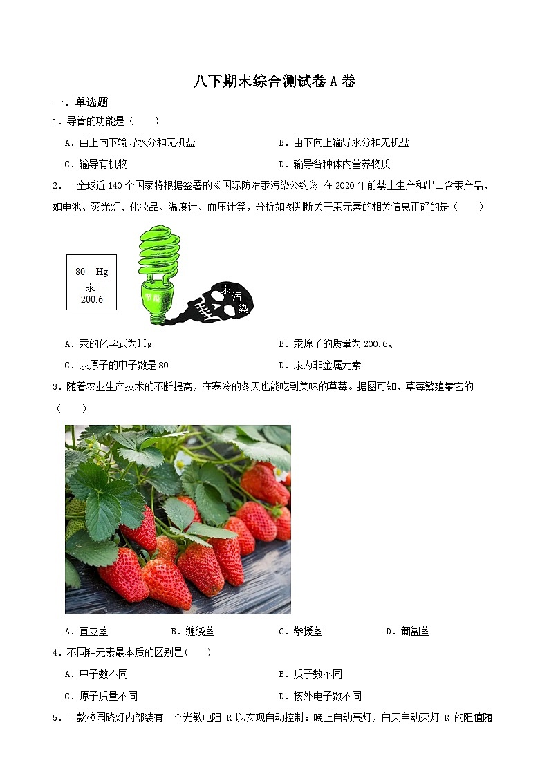 八下期末综合测试卷A卷-八年级科学下学期课后培优分级练（浙教版）01