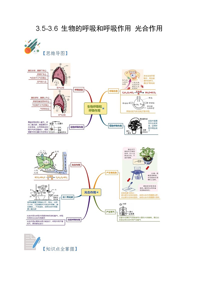 3.5-3.6 生物的呼吸和呼吸作用 光合作用-2023-2024学年八年级科学下册同步精品讲与练（浙教版）01