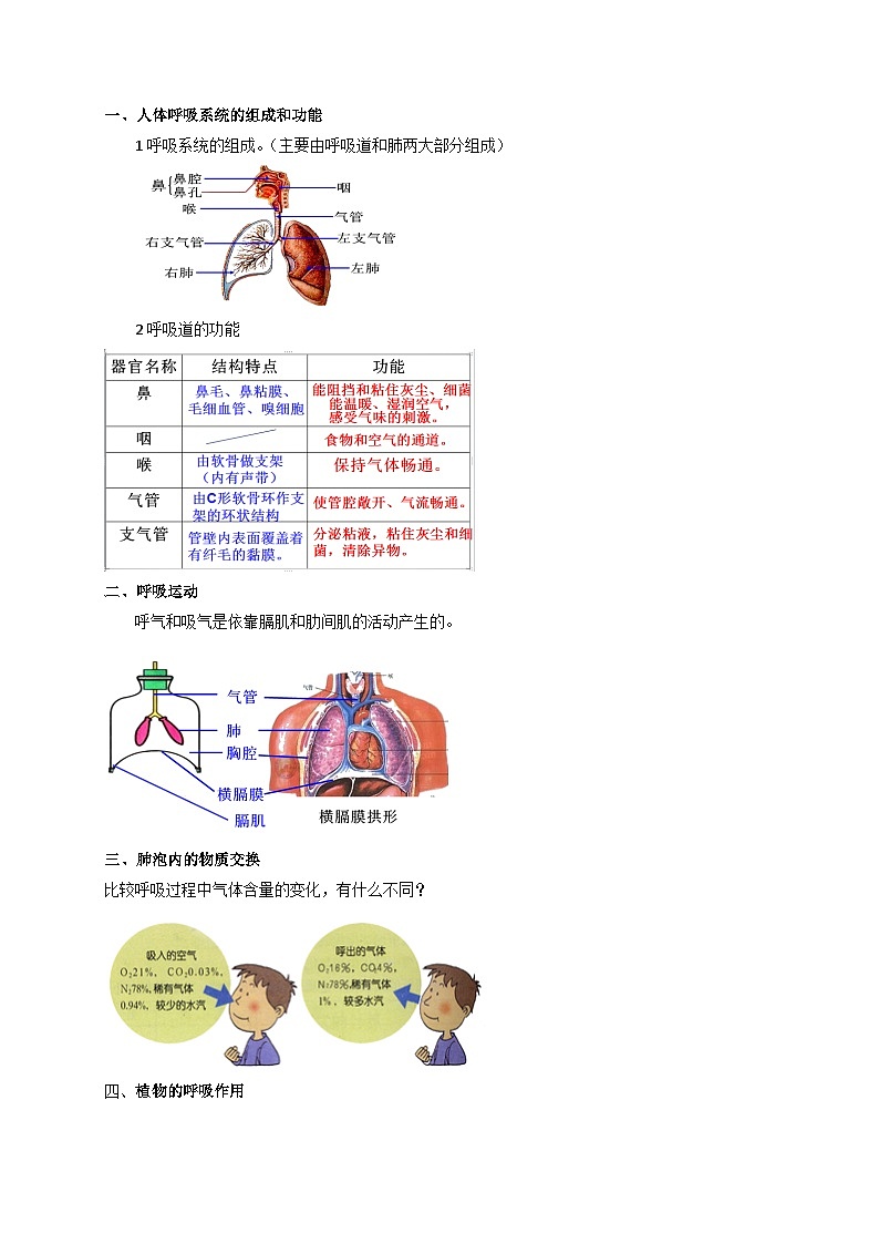 3.5-3.6 生物的呼吸和呼吸作用 光合作用-2023-2024学年八年级科学下册同步精品讲与练（浙教版）02