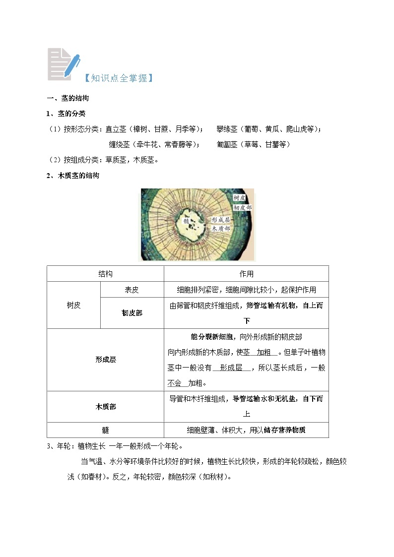 4.4-4.6 植物的茎与物质运输 植物的叶与蒸腾作用 保护土壤-2023-2024学年八年级科学下册同步精品讲与练（浙教版）02