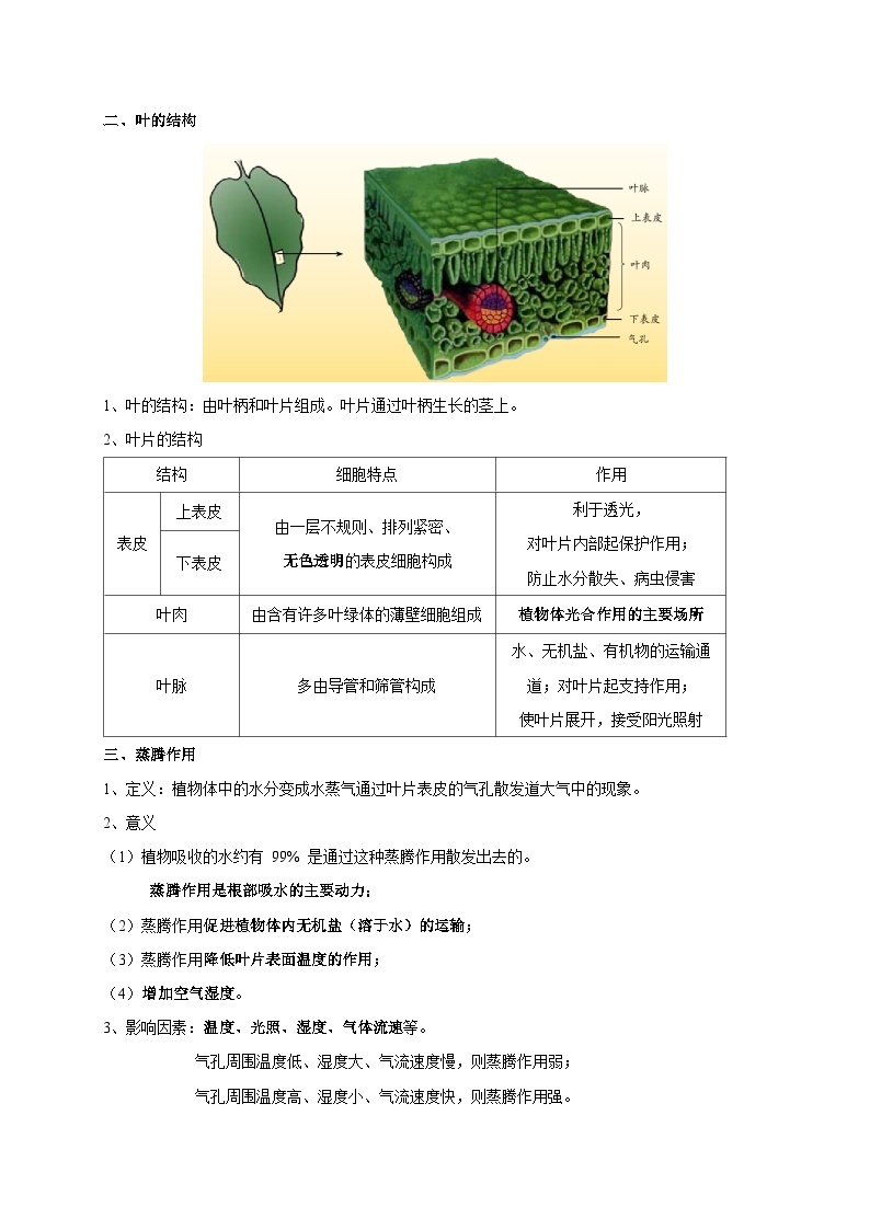 4.4-4.6 植物的茎与物质运输 植物的叶与蒸腾作用 保护土壤-2023-2024学年八年级科学下册同步精品讲与练（浙教版）03