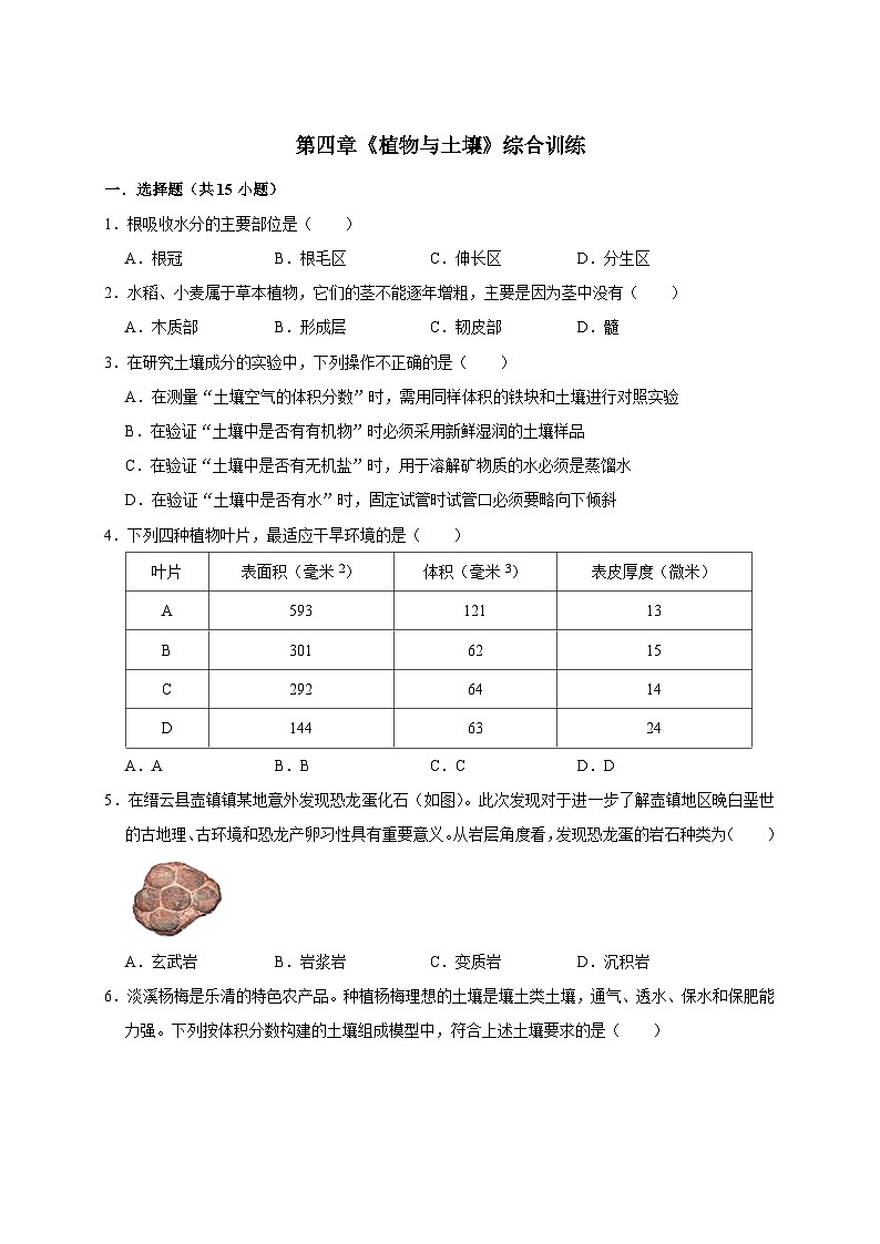 第四章《植物与土壤》综合训练-2023-2024学年八年级科学下册同步精品讲与练（浙教版）01