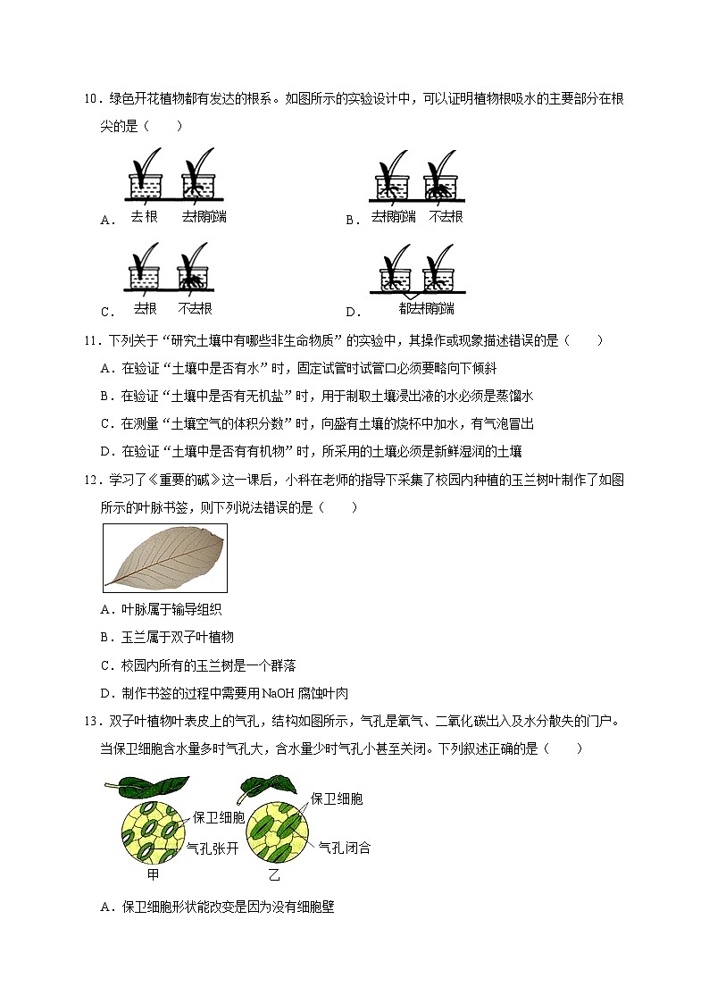 第四章《植物与土壤》综合训练-2023-2024学年八年级科学下册同步精品讲与练（浙教版）03