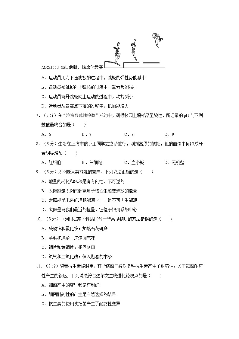 浙江省金华市义乌市2023-2024学年九年级上学期期末科学试卷02