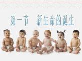 浙教版科学七年级下册 1.1 新生命的诞生 课件