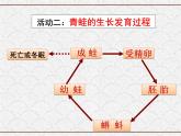 浙教版科学七年级下册 1.3 动物的生长时期 课件