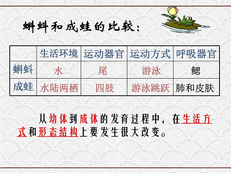 浙教版科学七年级下册 1.3 动物的生长时期 课件第4页