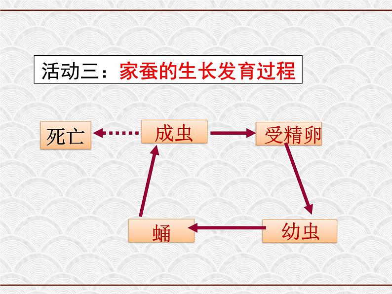 浙教版科学七年级下册 1.3 动物的生长时期 课件第7页