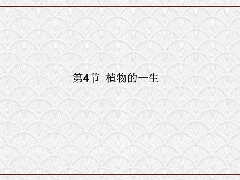 浙教版科学七年级下册 1.4 植物的一生 课件01